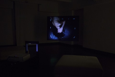 Andrea Rosset – Intra - installation view at Fusion Art Gallery, Torino 2016 - photo Davies Zambotti