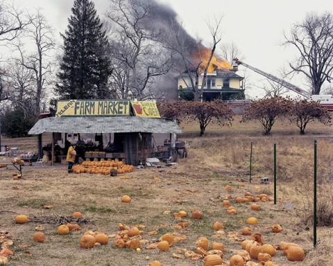 Magical Surfaces - Joel Sternfeld - Parasol Unit, Londra 2016