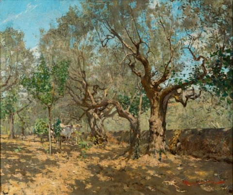 Telemaco Signorini, Uliveta a Settignano, 1885 ca. - coll. privata