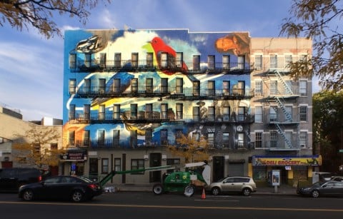 The Audubon Mural Project, Harlem, New York City - photo Mike Fernandez