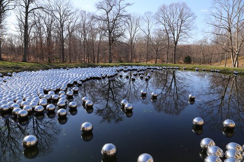 Yayoi Kusama, Narcissus Garden, Glass House, Connecticut, US