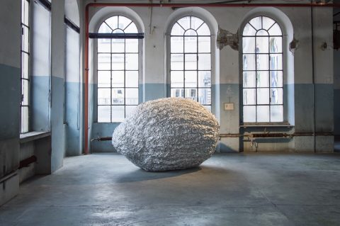 Erica Kimberly Lizzori Accademia di Brera Milano Limone Gigante, 2015 Courtesy the artist Photo Rui Wu 
