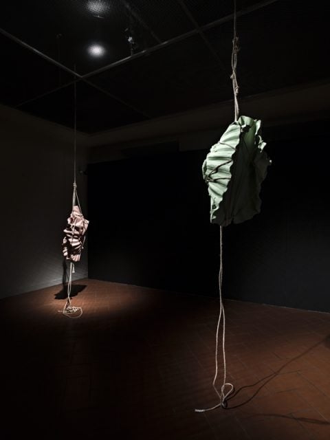 Morgane Tschiember, installazione per la Project Room del Palazzo Podestarile
