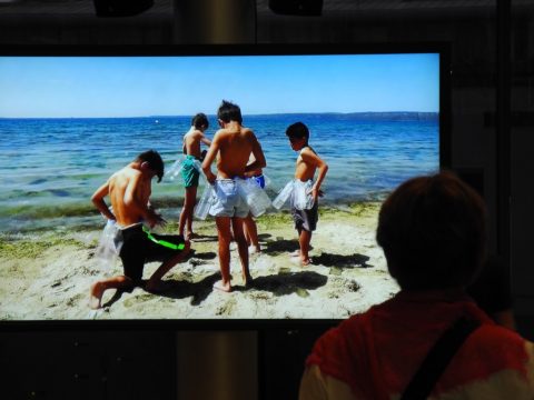 bb9 – Biennale di Berlino 2016 – Halil Altindere, Homeland, 2016 – still da video