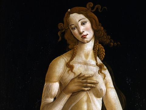 Sandro Botticelli Venere, 1480 - 1499 .ca Galleria Sabauda, Torino