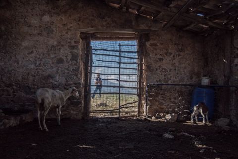 Uno degli jazzi, rifugi per le pecore durante la transumanza, nel Cilento