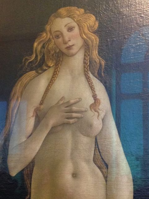 Venere incontra Venere. Due opere di Botticelli a confronto, Galleria Sabauda - Musei Reali Torino - Venere di Berlino