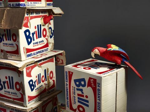 Bertozzi e Casoni, Brillo box con pappagalli, 2016, ceramica policroma