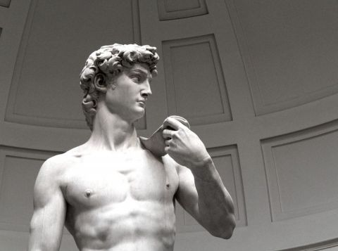 Il David di Michelangelo