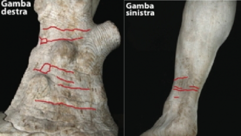 I punti critici del David di Michelangelo (foto Consiglio nazionale delle ricerche - Igg-Cnr di Firenze)