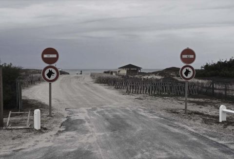 Michel Houellebecq, France #017 - Courtesy de l’artiste et Air de Paris, Paris