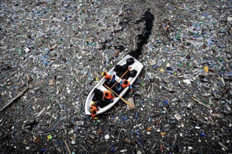 Pacific Trash Vortex