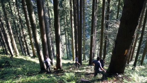 Virginia Garra, Risonanze, cammino sonoro in tre movimenti, 2016 - still da video