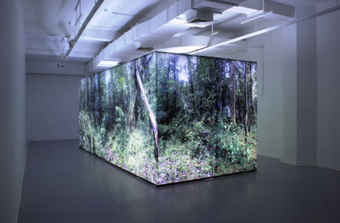 Bernardo Oyarzún, Eco Sistema, 2005 (foto Fernando Balmaceda)