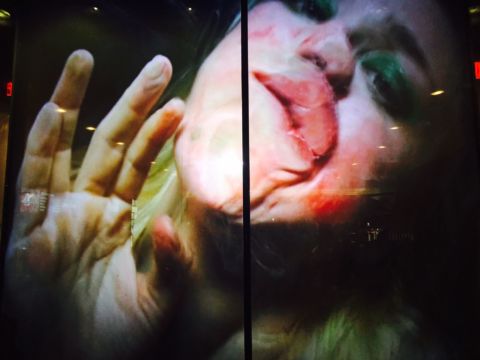 Pipilotti Rist – Pixel Forest - exhibition view at New Museum, New York 2016