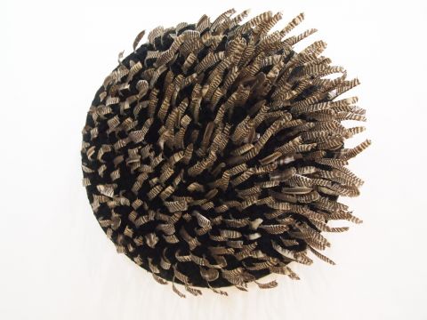 Pino Pascali, Le penne di Esopo, 1968 