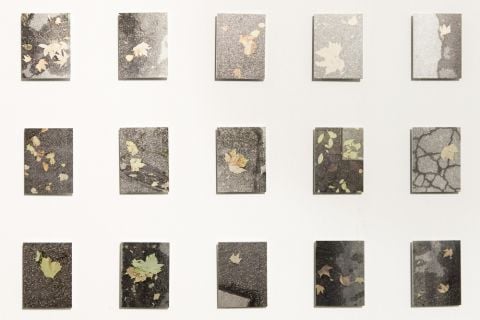 Valentina D’accardi – Perpetuus. Atto I – Abc Arte Bologna Cultura – Solo Show, SetUp Contemporary Art Fair, Bologna 2017 (foto altrospaziophotography.com)