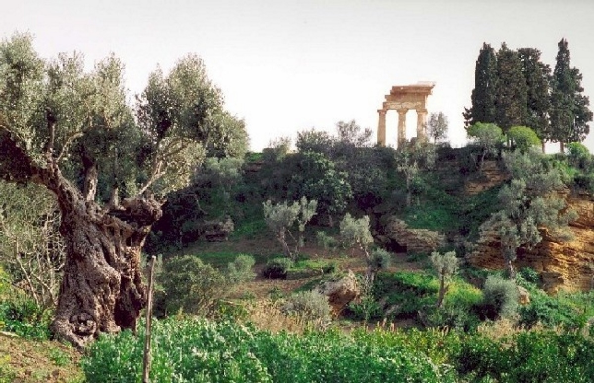 Il Giardino della Kolymbetra nella Valle dei Templi di Agrigento