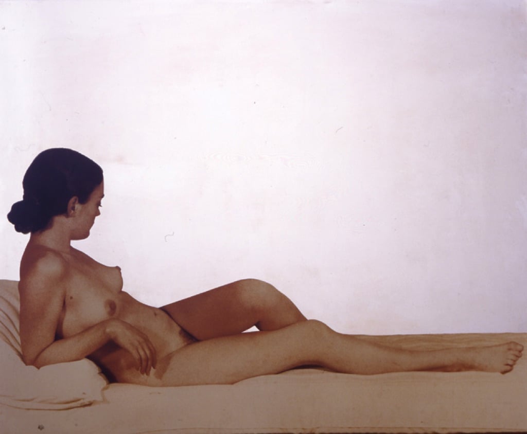 Michelangelo Pistoletto, Nudo color seppia. Venere Maria, 1974. Collezione Palli