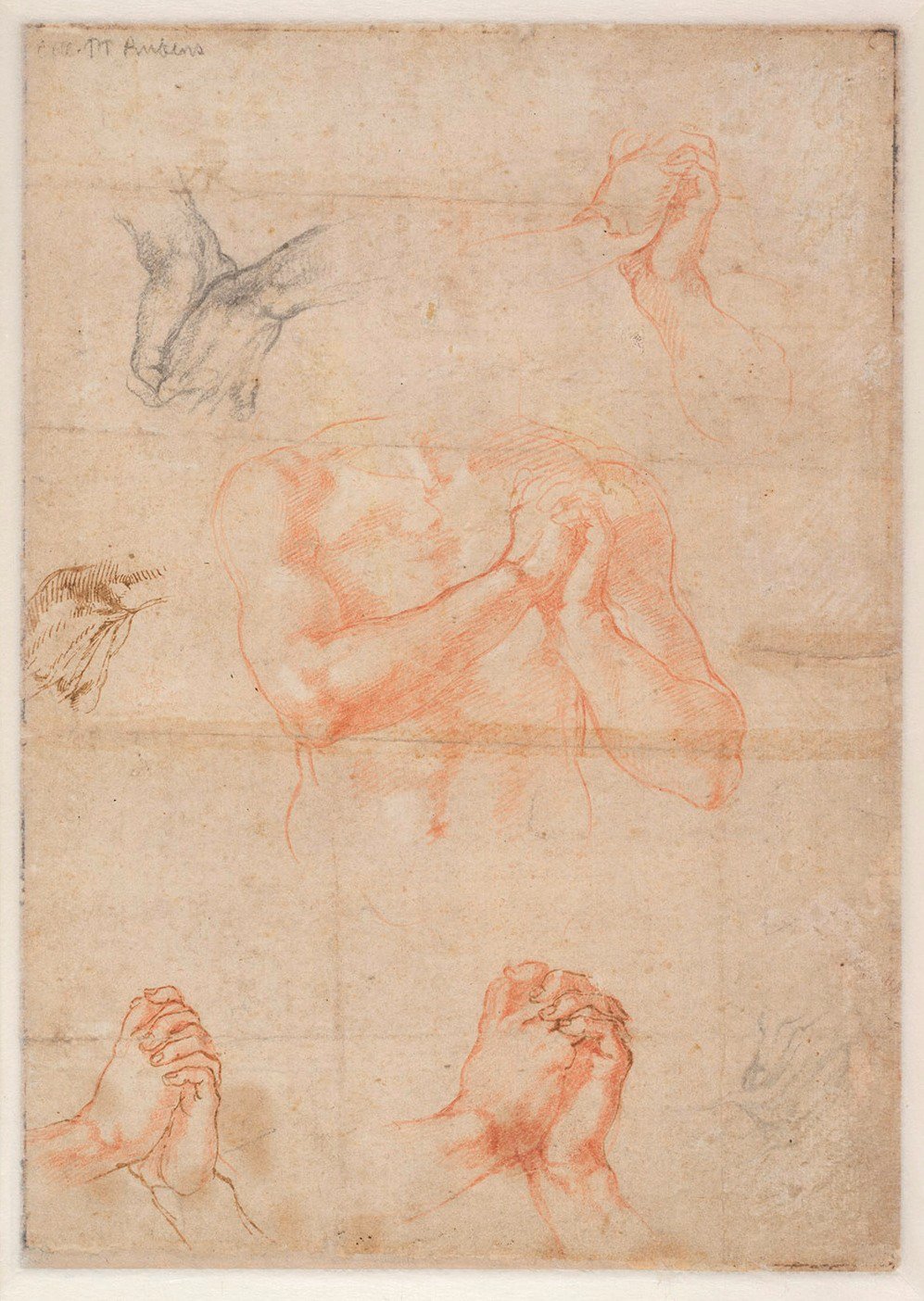 Michelangelo Buonarroti, Studio di mani (verso), circa 1510-11, 27,2 x 19,2 cm. Albertina, Vienna. Courtesy National Gallery