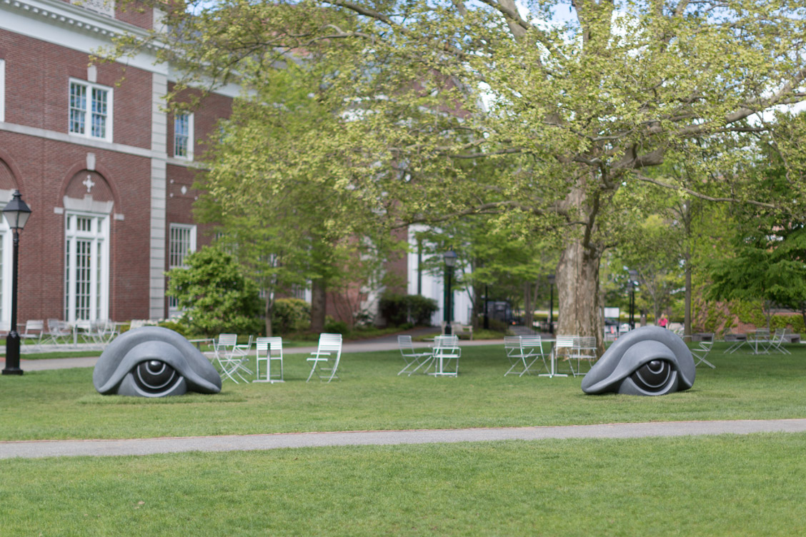 Louise Bourgeois, Eye Benches II, 1996-1997. Photo by Susan Young. © The Easton Foundation/Licensed by VAGA, NY