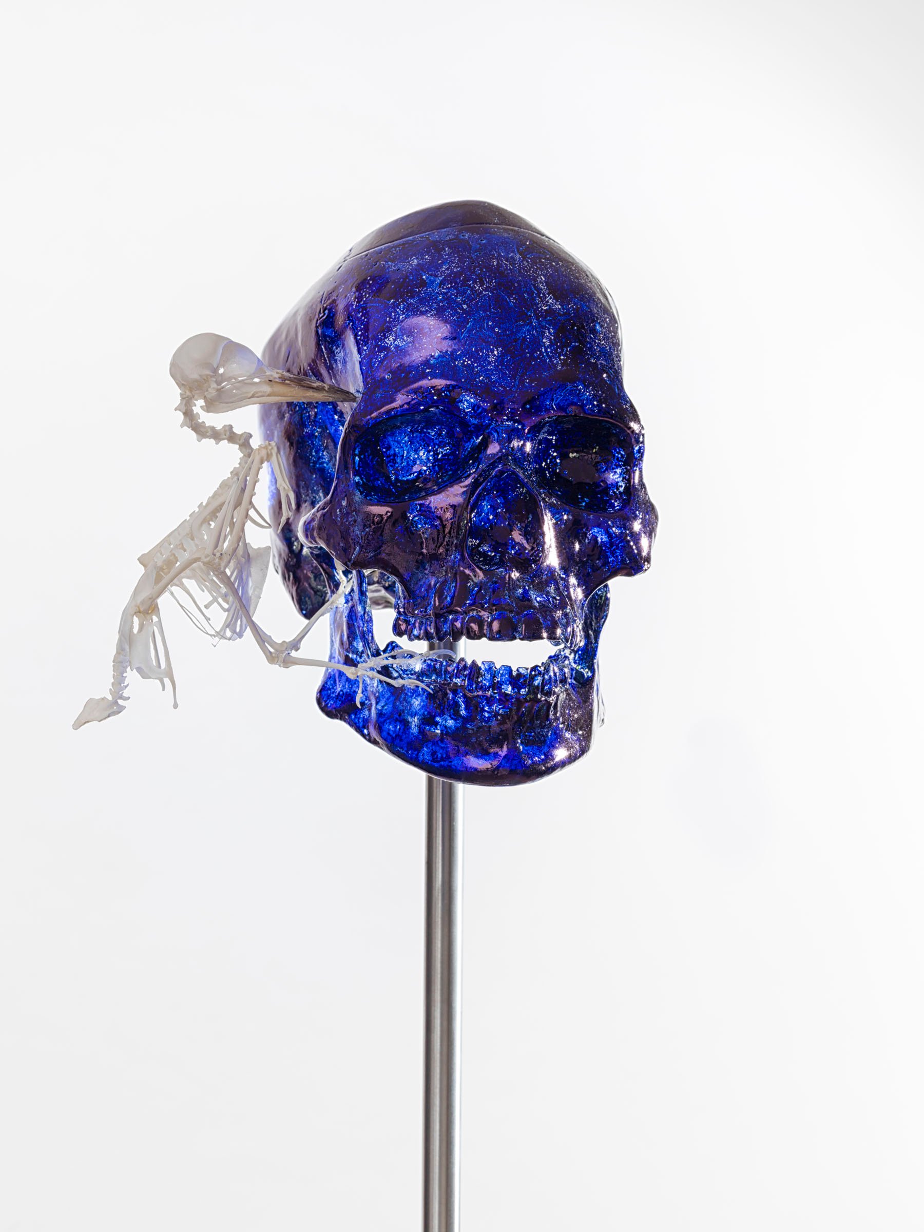 Jan Fabre, Skull with Woodpecker, 2017, photo Pat Verbruggen, copyright Angelos bvba