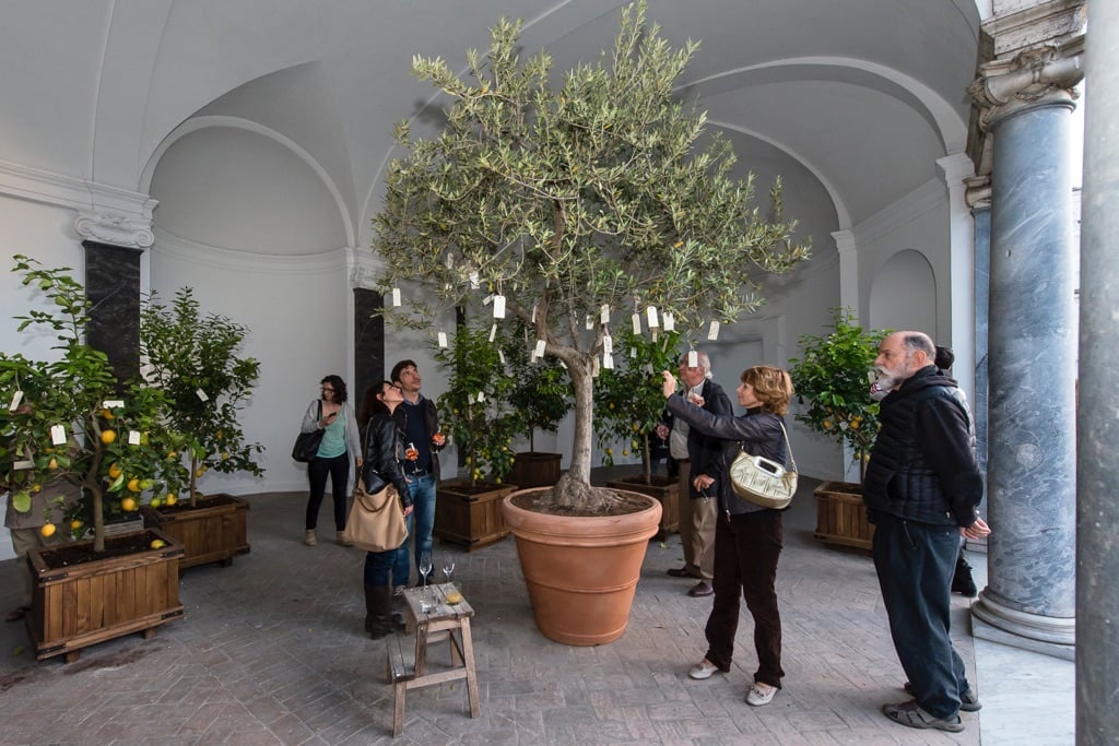 Yoko Ono, Wish Trees, 1966-2017. Installation view at Villa Medici, Roma 2017. Photo Sebastiano Luciano © Yoko Ono