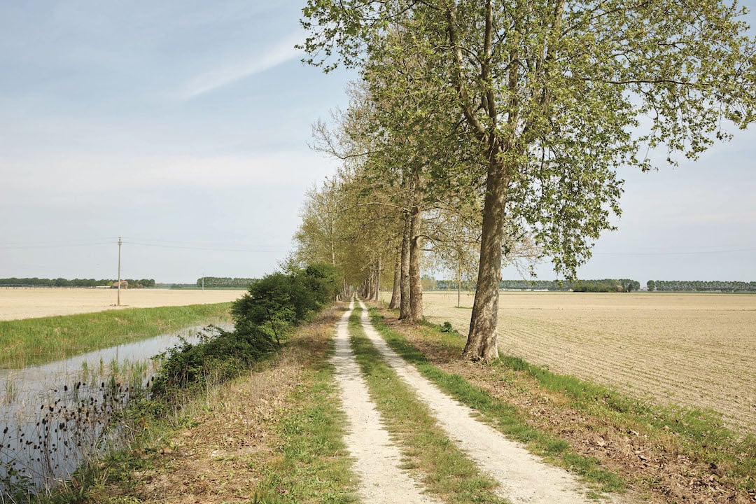 Ca' Corniani paesaggio, ph Agostino Osio