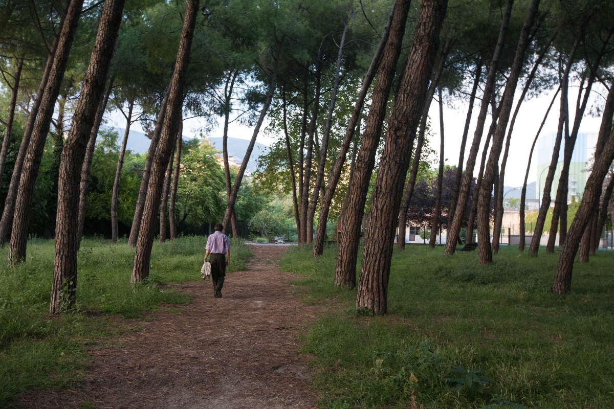 L'uomo che cammina. Photo Francesca Mautone