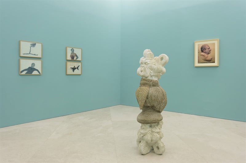 Veduta dell'allestimento PERLA POLLINA, 1996 – 2016, Madre Museo d'arte contemporanea Donnaregina, Napoli, 2017, courtesy Collezione Charlott Feng Ford; Fondazione Donnaregina per le arti contemporanee, Napoli, photo © Amedeo Benestante