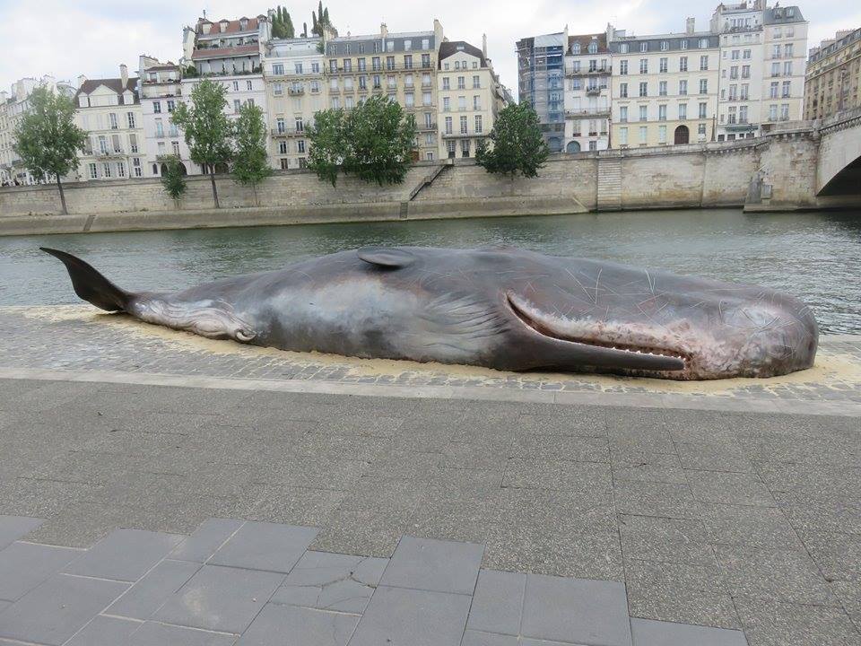 La Balena spiaggiata a Parigi