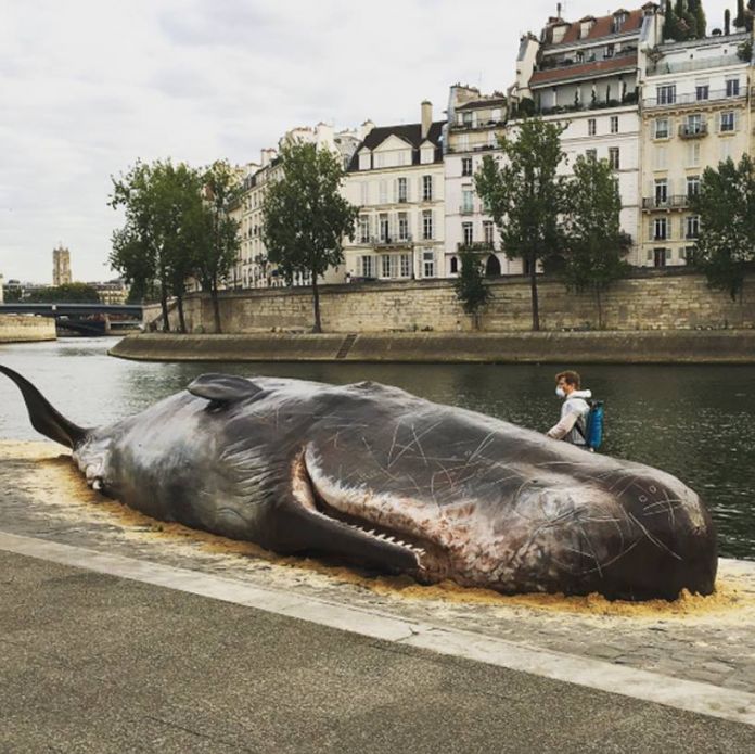 La Balena spiaggiata a Parigi