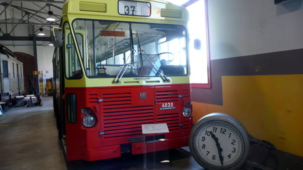 Bus 37