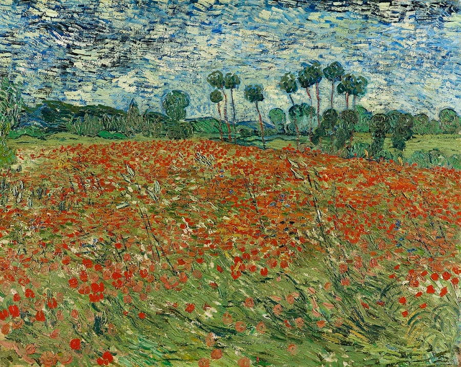 Vincent van Gogh, Campo di papaveri, 1890 olio su tela, cm 73 x 91,5 L'Aia, Gemeentemuseum prestito del Cultural Heritage Agency of the Netherlands
