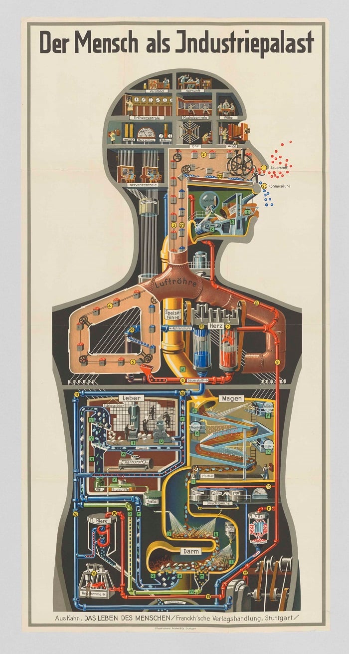 Der Mensch als Industriepalast (Man as Industrial Palace), pull-out poster from volume III of Fritz Kahn's Das Leben des Menschen (The Life of Man), 1926