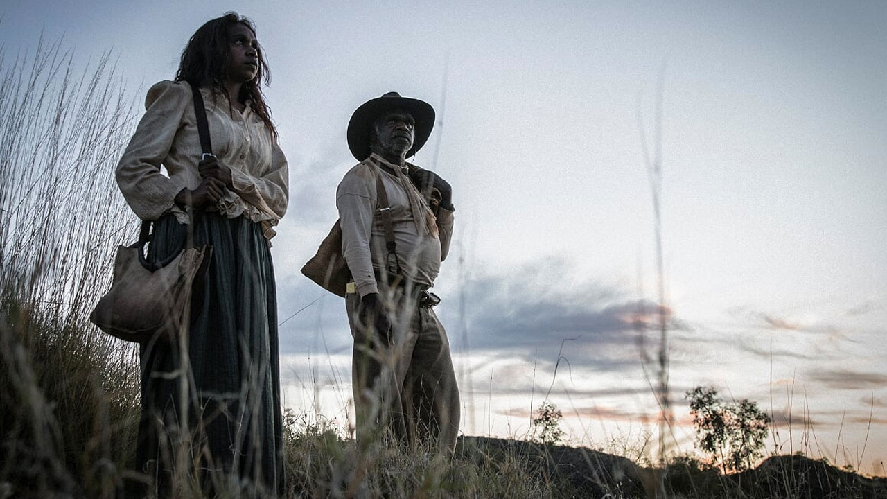 Sweet Country, Venezia 74