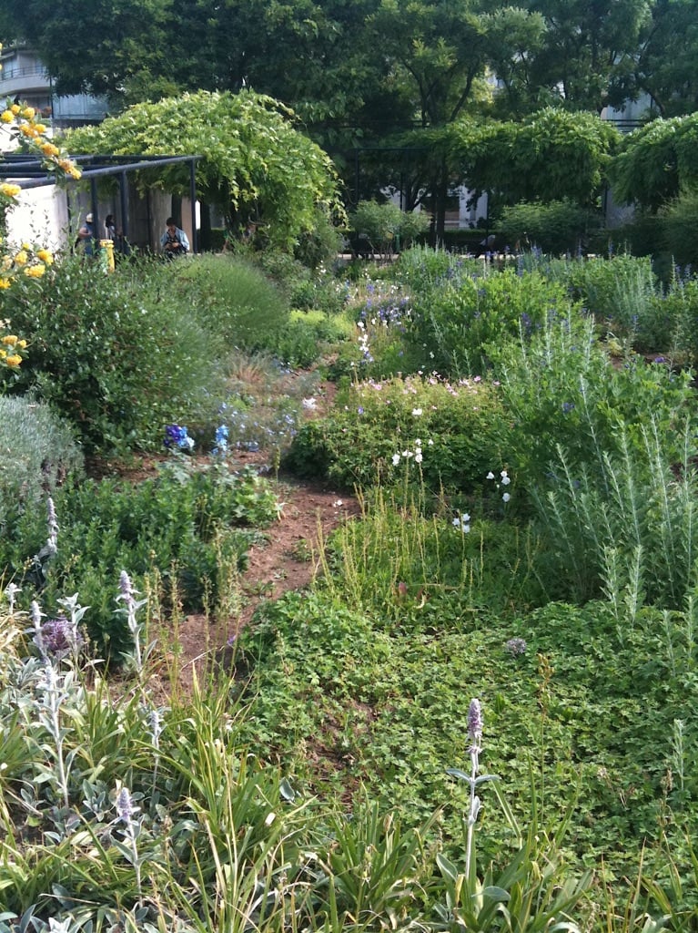 Il giardino di Gilles Clément. Photo Claudia Zanfi
