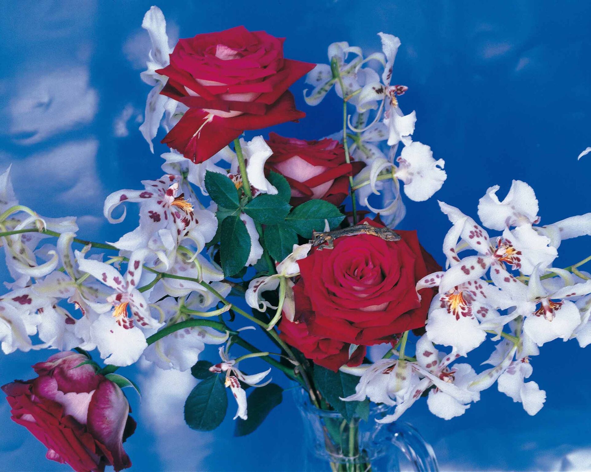 Nobuyoshi Araki, serie Flowers © Nobuyoshi Araki. Courtesy Fondazione Cassa di Risparmio di Modena