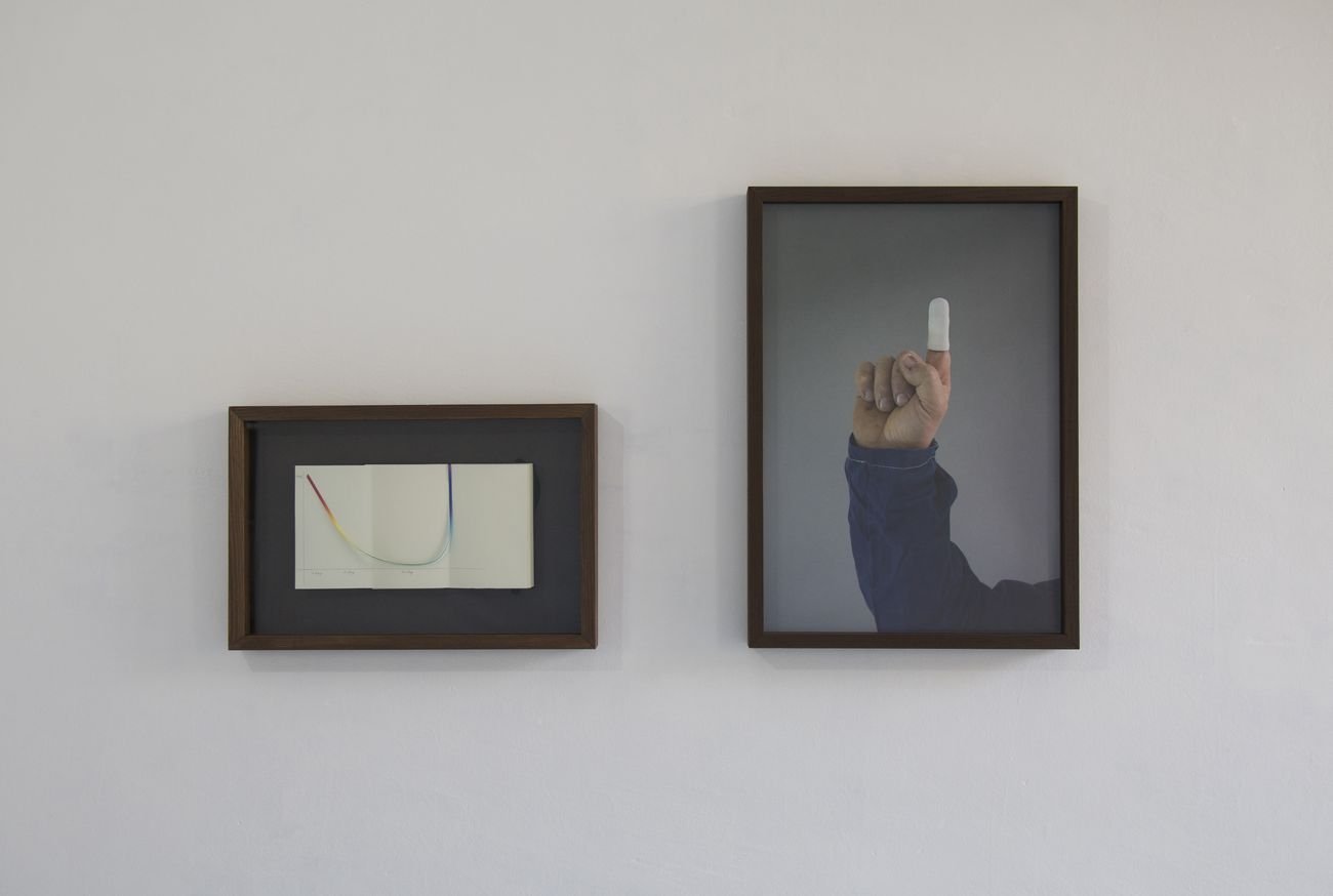 Antonio Della Guardia, in loco parentis, 2017, taccuino e stampa su filo, stampa su carta cotonata, 15 x 28 cm, 48 x 34 cm
