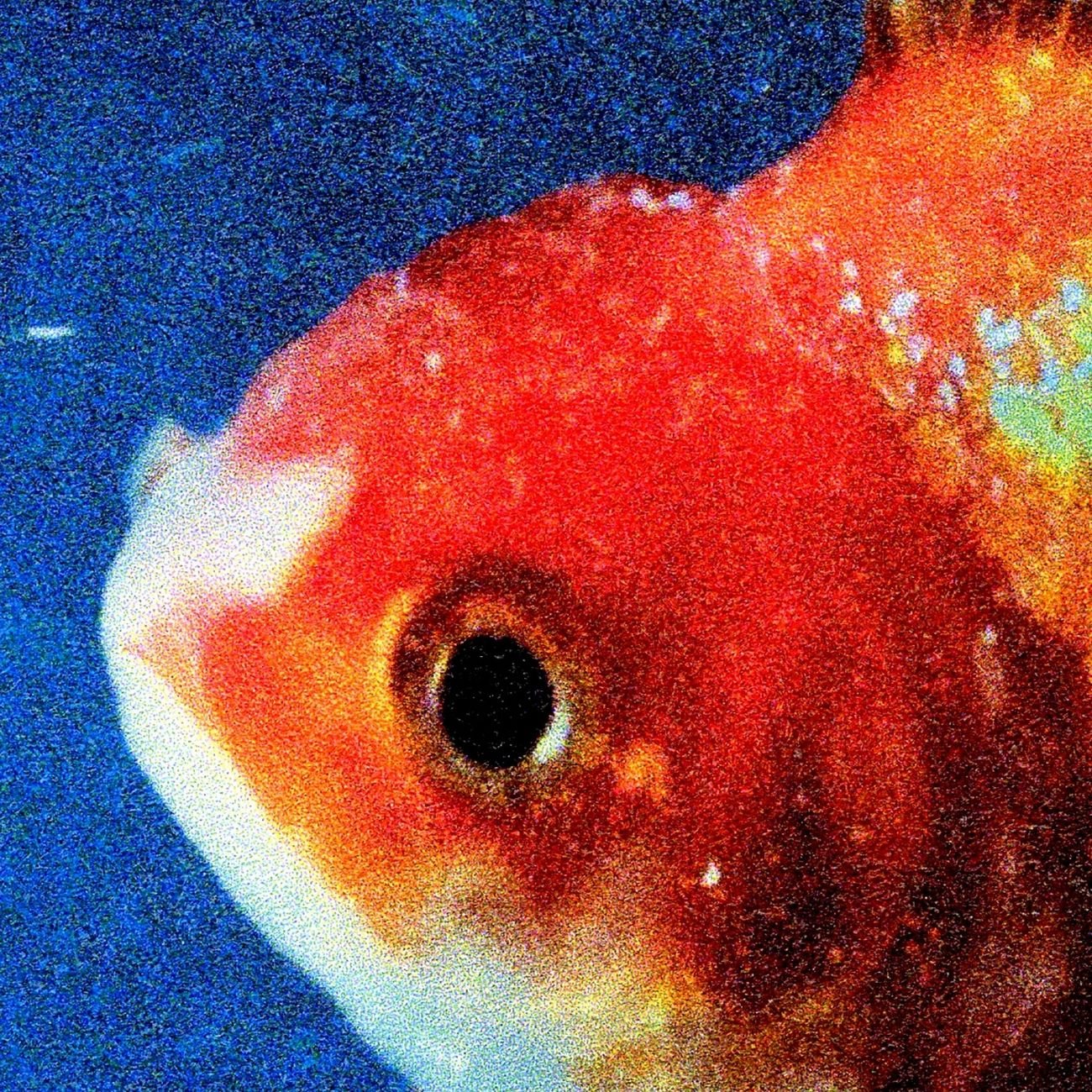 Vince Staples, Big Fish Theory (2017)