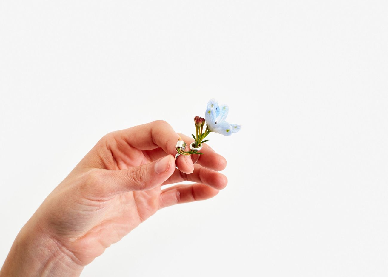 Gahee Kang, Ikebana Ring