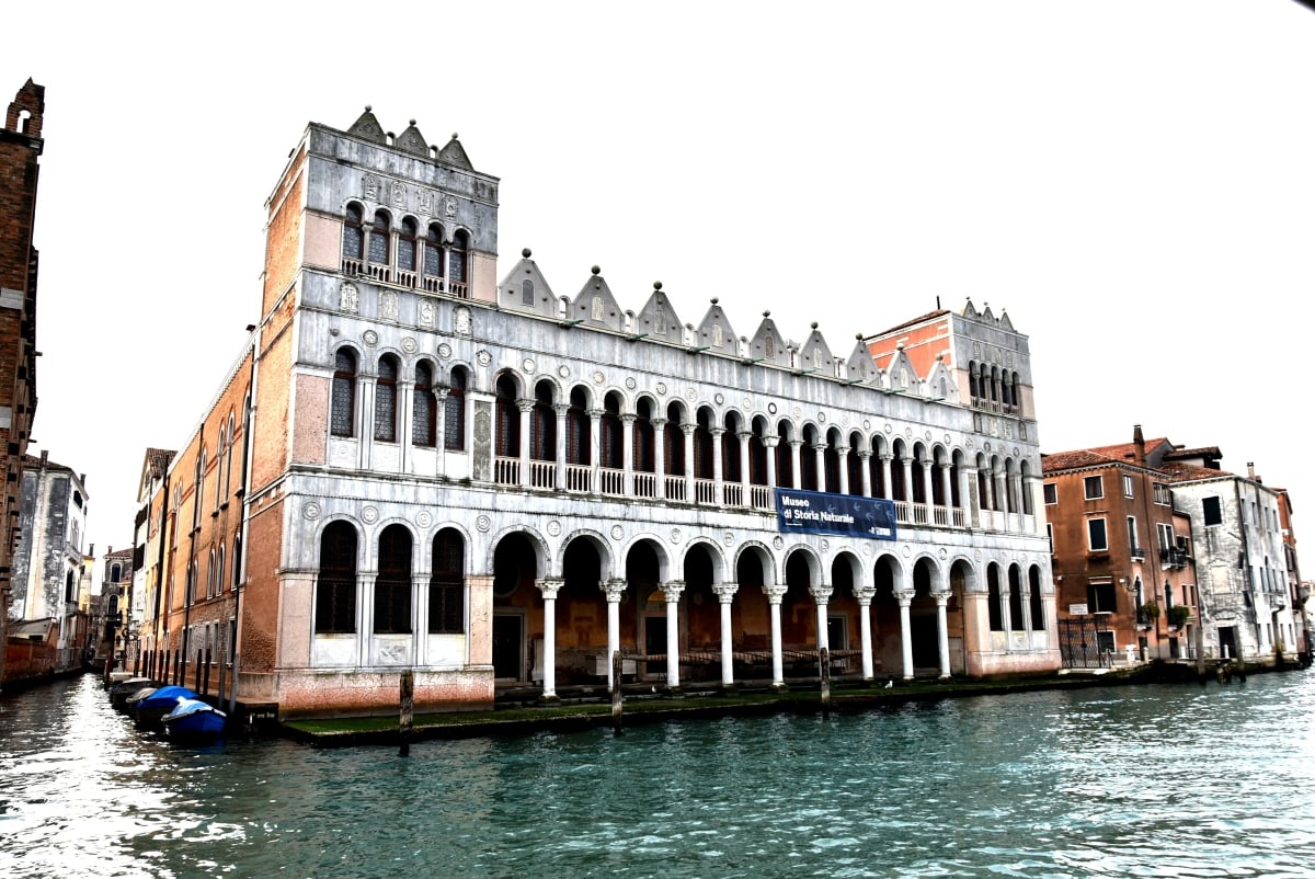 Museo di Storia Navale Venezia La cultura è una necessità. Intervista a Gabriella Belli