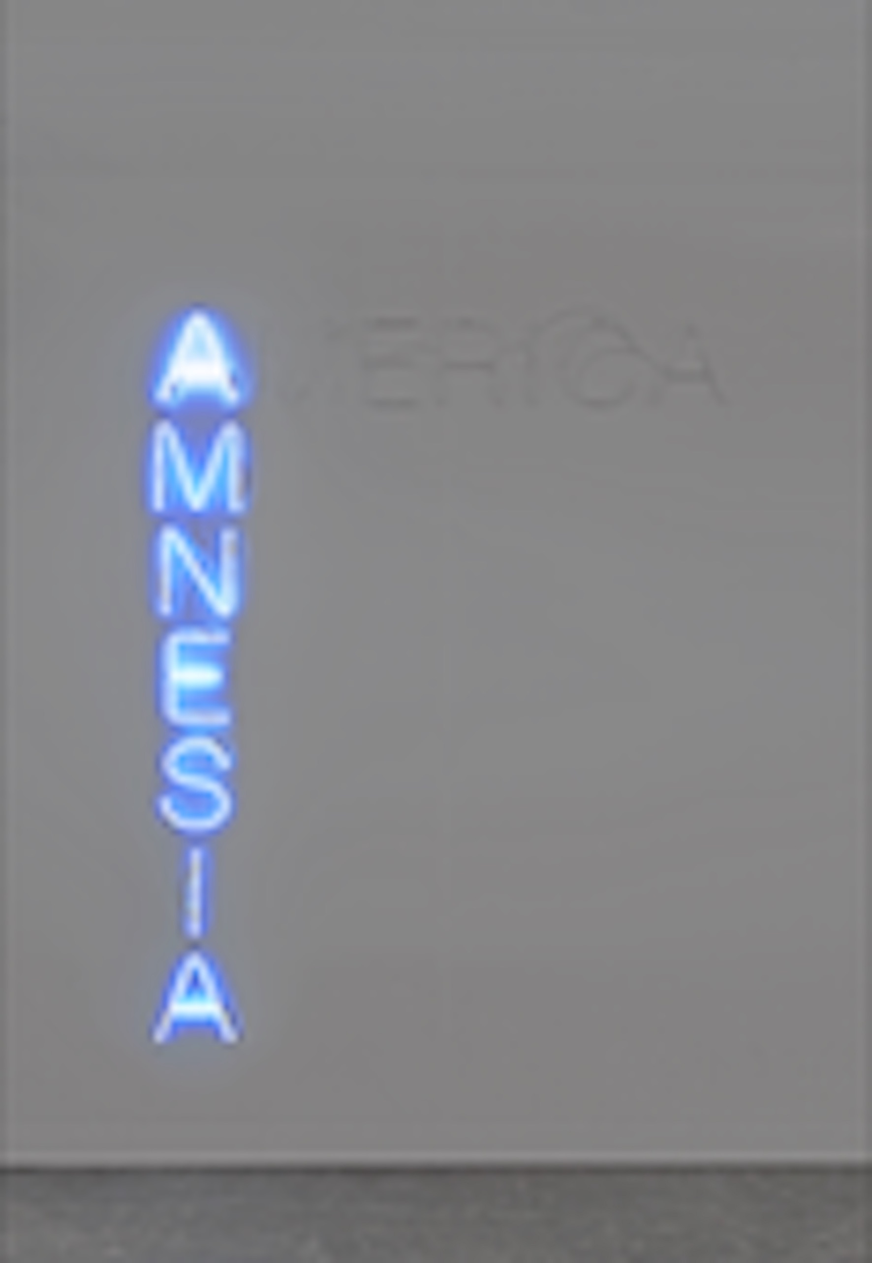 Runo Lagomarsino AmericAmnesia 2017 Neon, Courtesy Francesca Minini, Milano