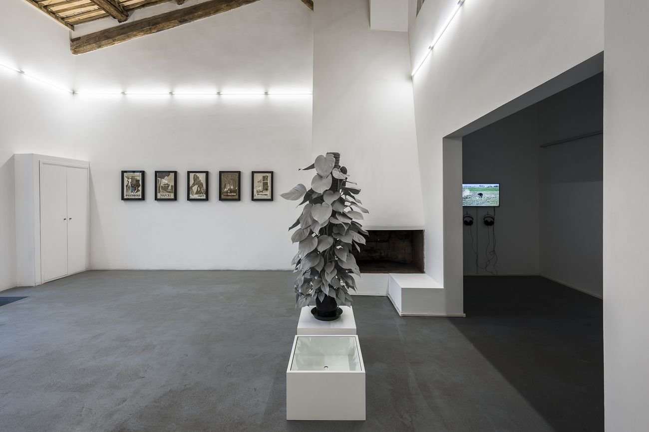 Paradiso. Exhibition view at AlbumArte, Roma 2018