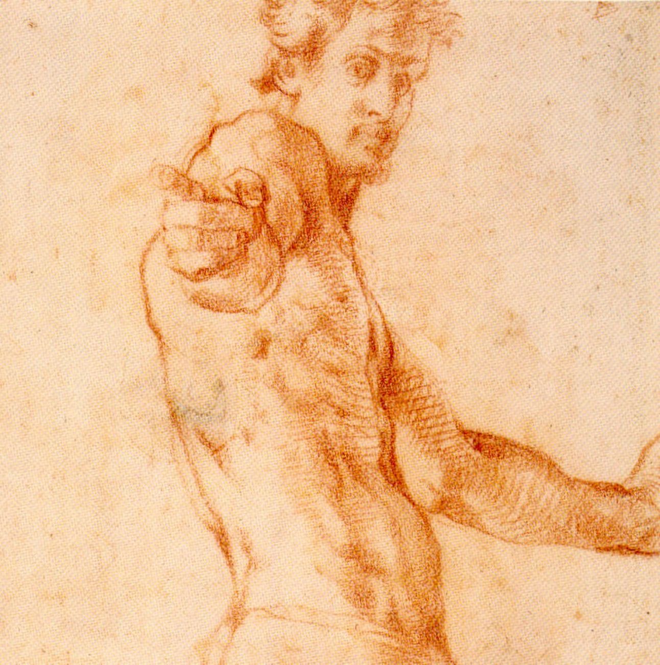 Jacopo Carucci detto Pontormo, Autoritratto a mezza figura