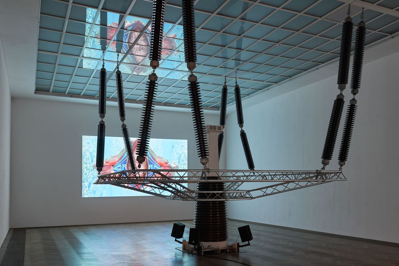 Raphaela Vogel, Isolator, 2016. Installation view at Kunsthalle Basel, 2018. Photo Philipp Hänger Kunsthalle Basel