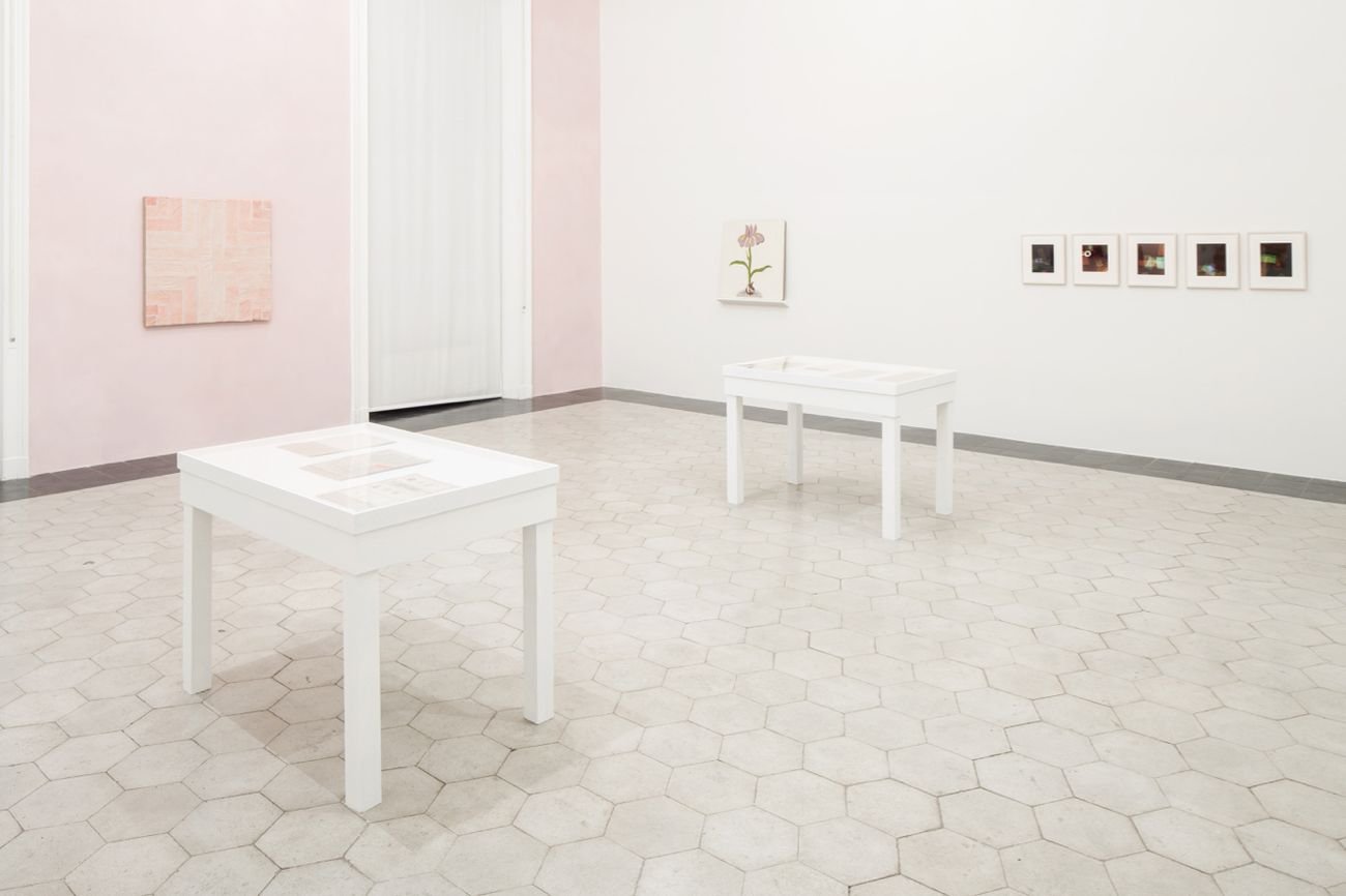 Yto Barrada. The Dye Garden. Exhibition view, American Academy in Rome, 2018. Courtesy Pace Gallery. Photo Altrospazio