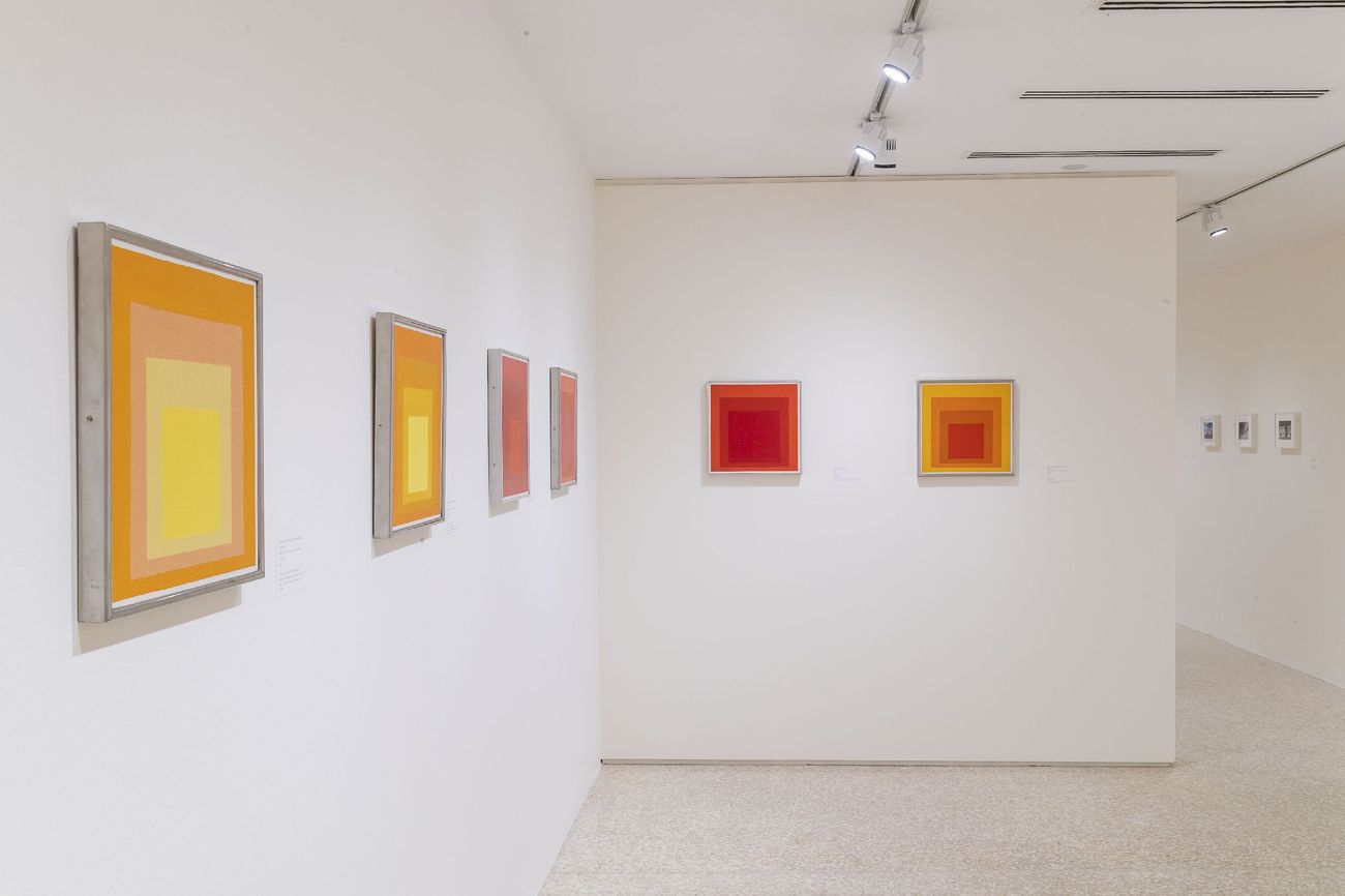 Josef Albers in Messico. Exhibition view at Peggy Guggenheim Collection, Venezia 2018. Photo Matteo de Fina