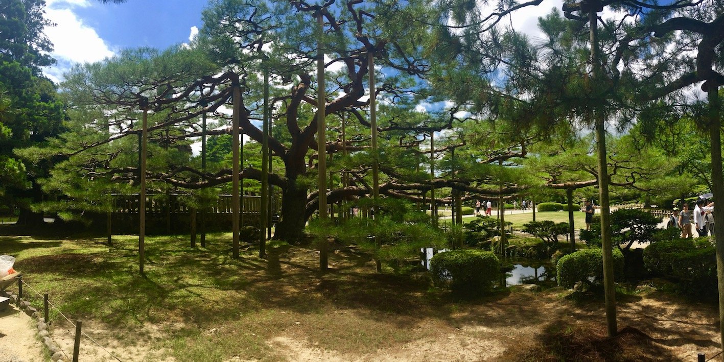 Kenroku-en di Kanazawa. Ph. Aldo Premoli