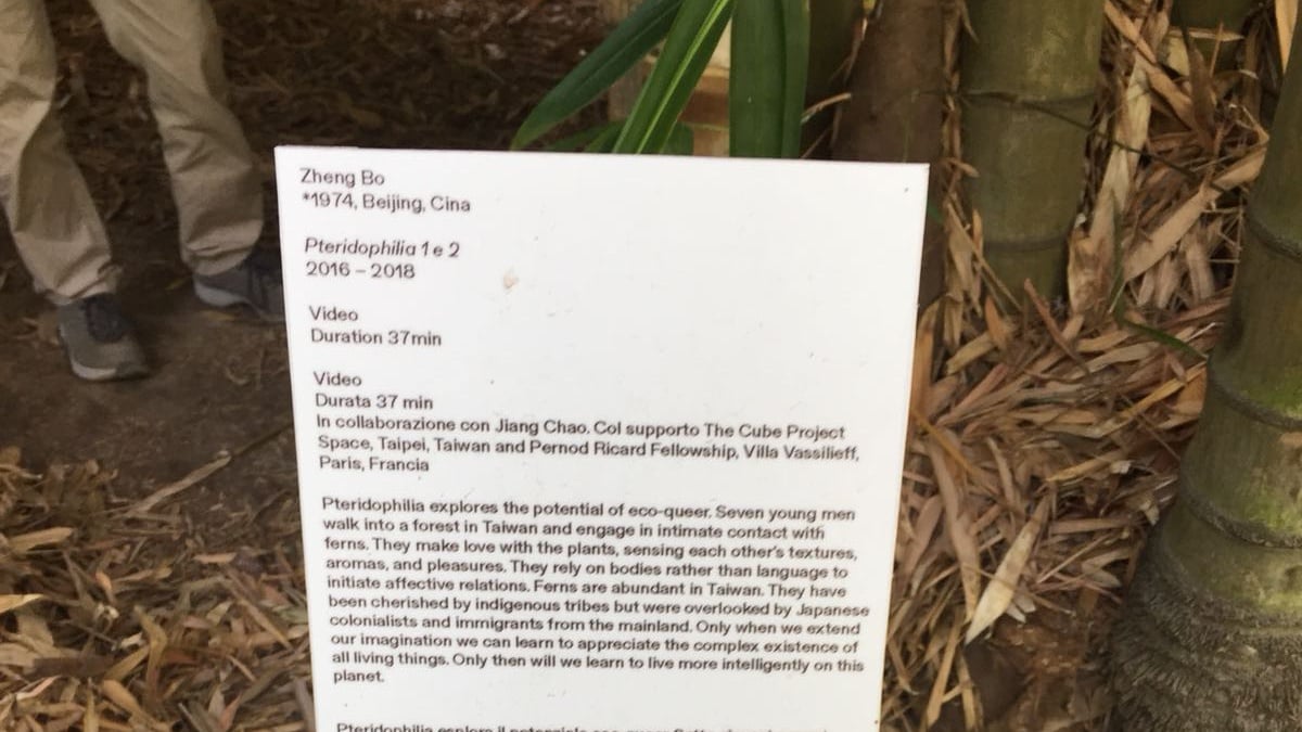 Il cartello con la descrizione dell'opera di Zheng Bo all'Orto Botanico di Palermo